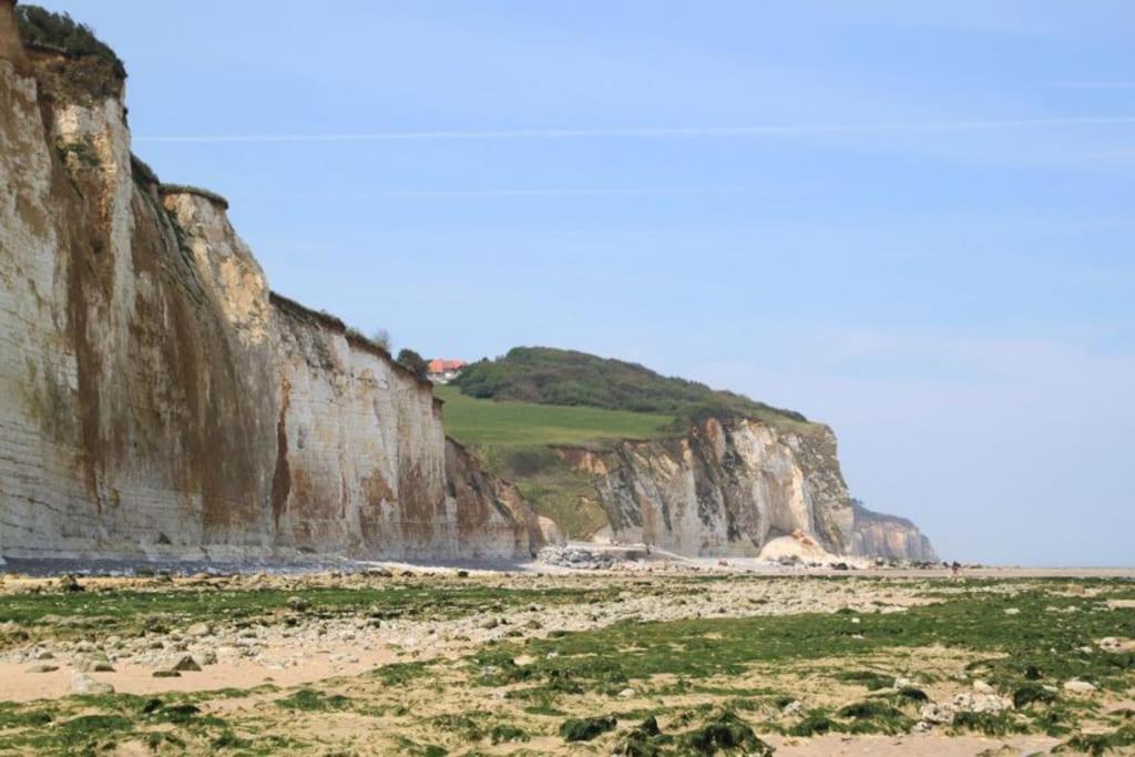 Bel Appartement Vue Mer Centre-Ville, Face Plage Dieppe Exteriör bild